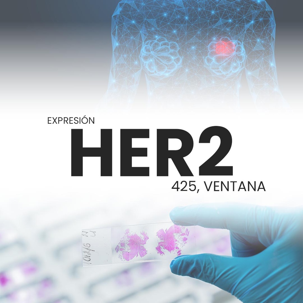HER2 