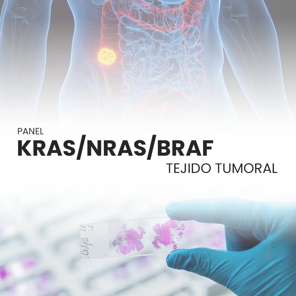 Panel KRAS/NRAS/BRAF (Tejido tumoral)