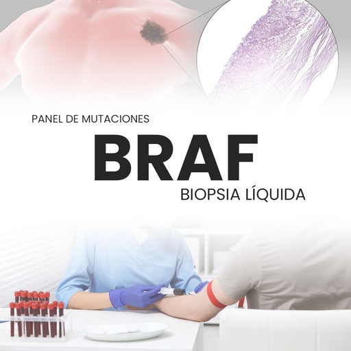 [BRAF-PRI-40-02] Panel de mutaciones BRAF (Biopsia Líquida)
