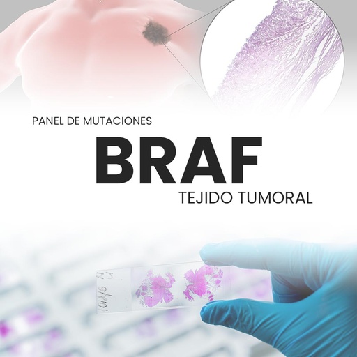 [BRAF-PRI-40-10] Panel de mutaciones BRAF (Tejido tumoral)