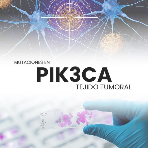[PIK3CA-PRI-33-10] Mutaciones en PIK3CA (Tejido tumoral)